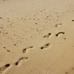 leuchtdiode footprints foto peggy und marco lachmann-anke pixabay